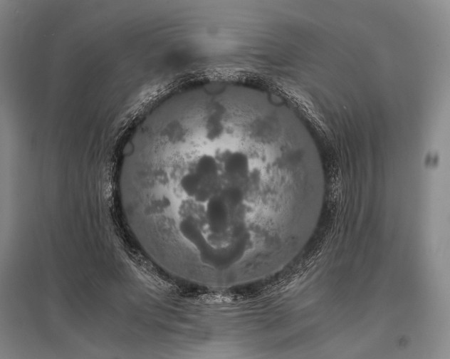 X0000095520687200712141446