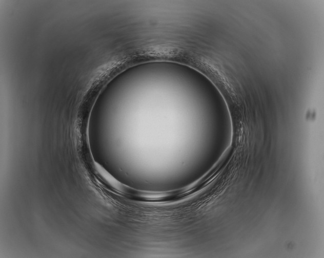 X0000095520688200712141446