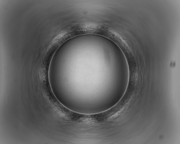 X0000095520689200712141446