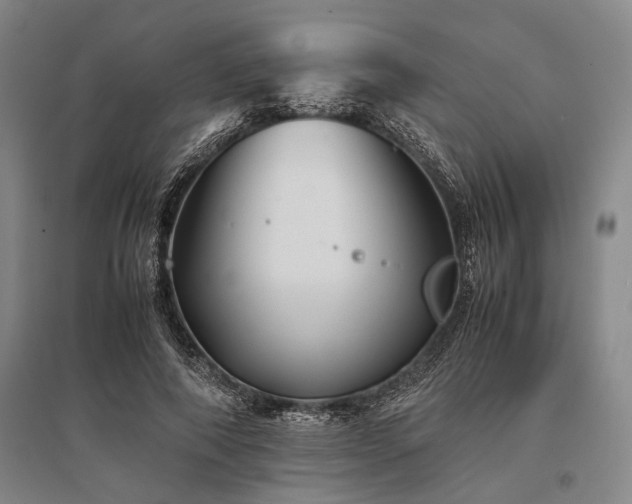 X0000095520690200712141446