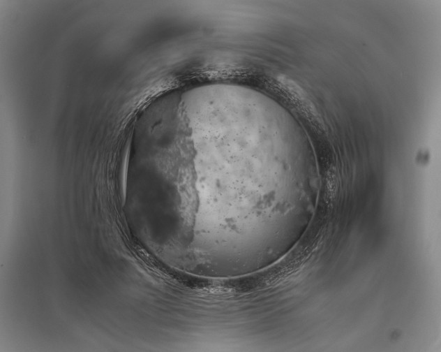 X0000095520691200712141446