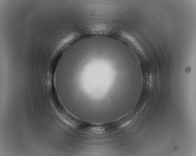 X0000095520692200712141446