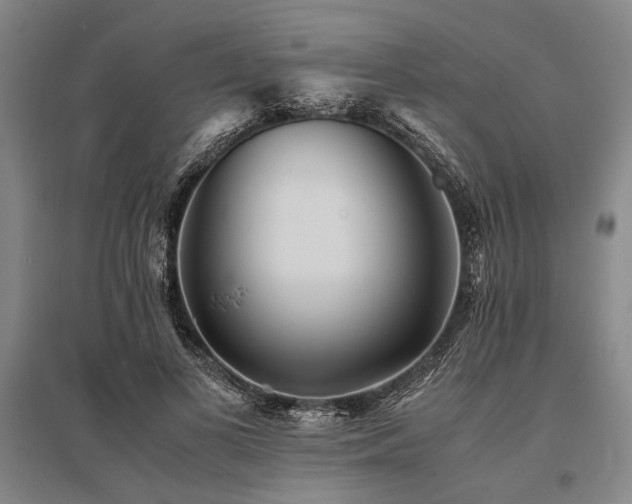 X0000095520693200712141446