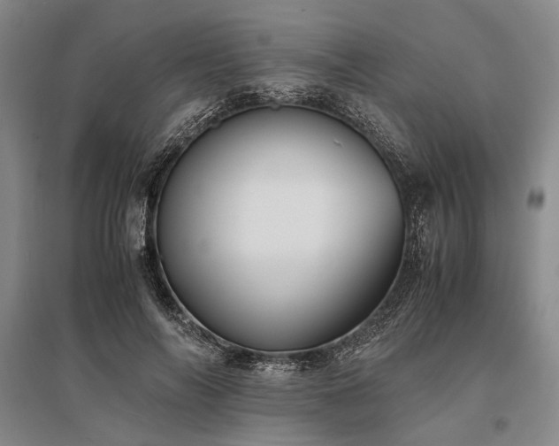 X0000095520694200712141446