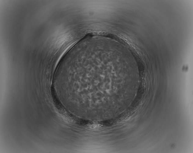 X0000095520695200712141446