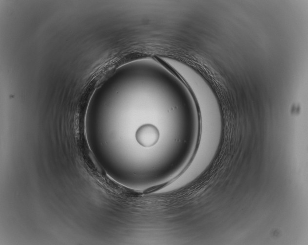 X0000095520696200712141446