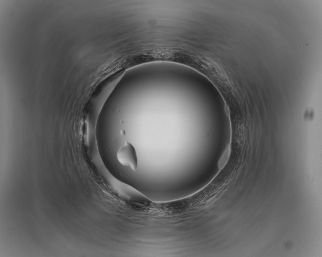 X0000095520697200712141446