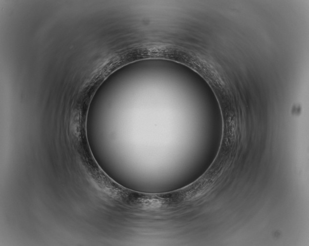 X0000095520698200712141446