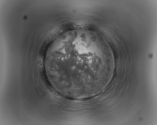 X0000095520699200712141446