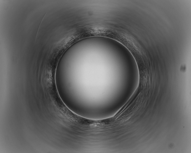 X0000095520700200712141446