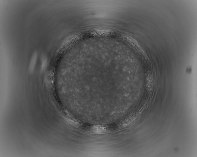 X0000095520701200712141446