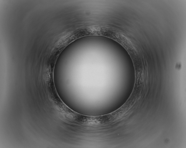 X0000095520702200712141446