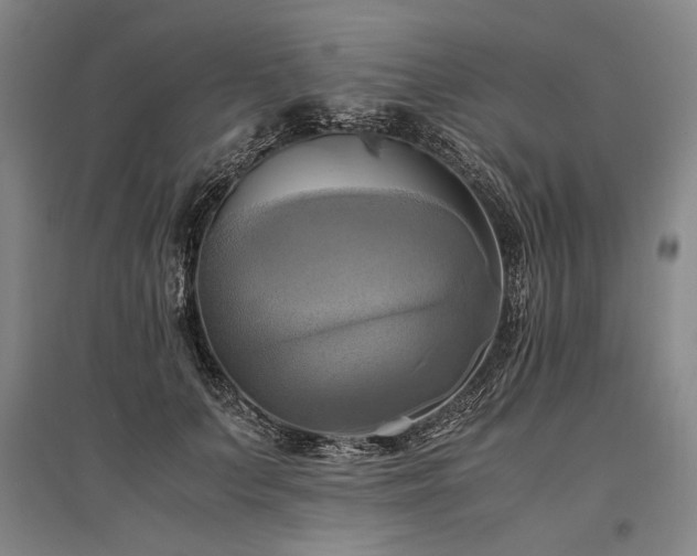 X0000095520703200712141446