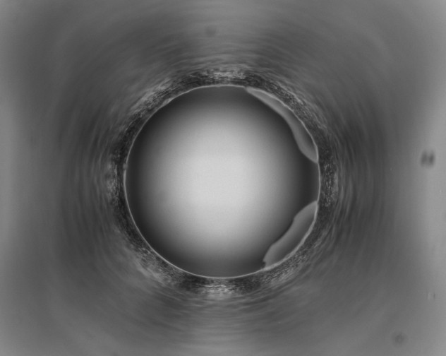 X0000095520704200712141446