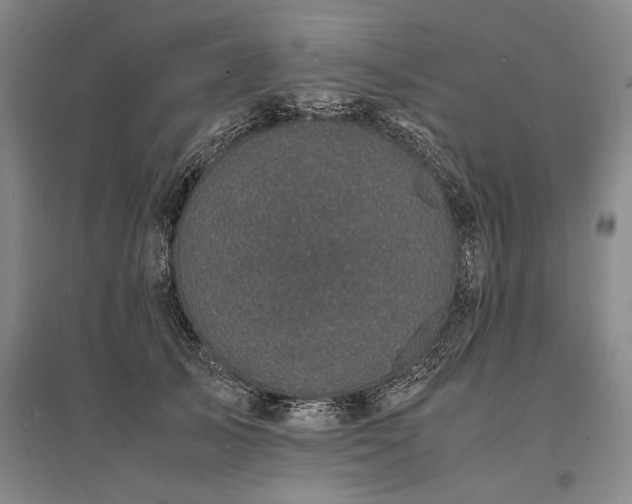 X0000095520705200712141446