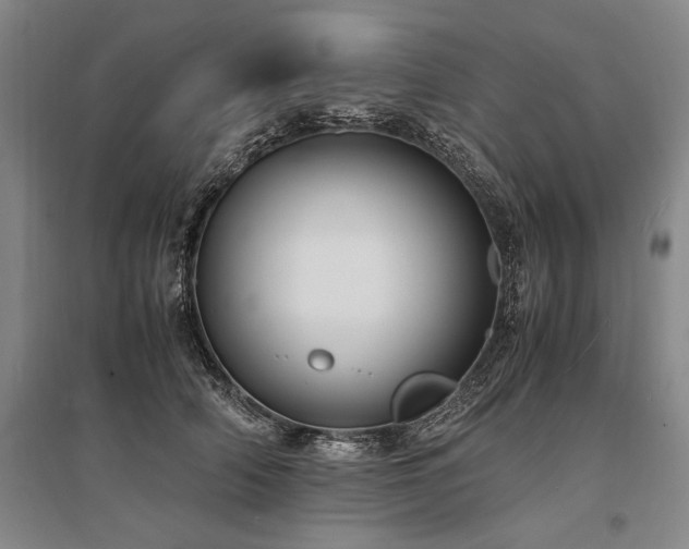 X0000095520706200712141446