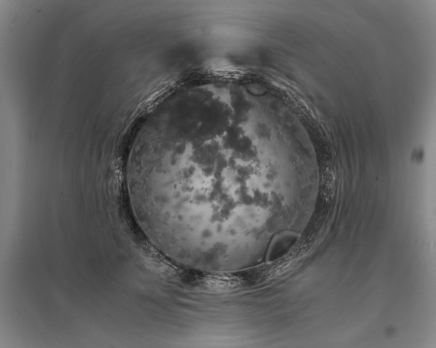 X0000095520707200712141446