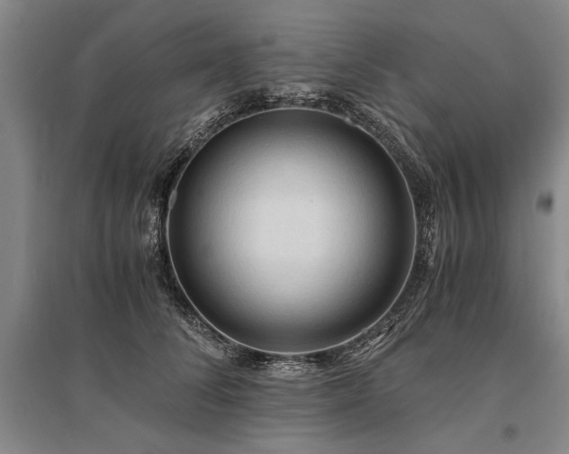 X0000095520708200712141446