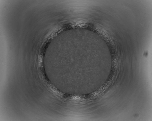 X0000095520709200712141446