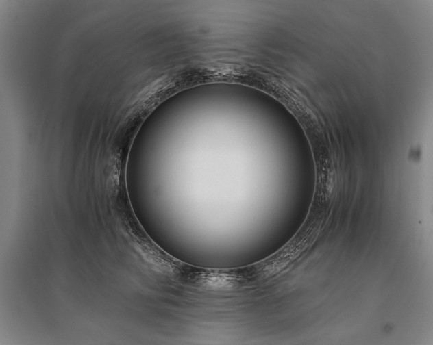 X0000095520710200712141446