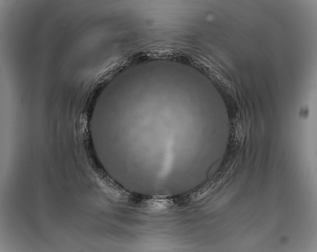 X0000095520711200712141446