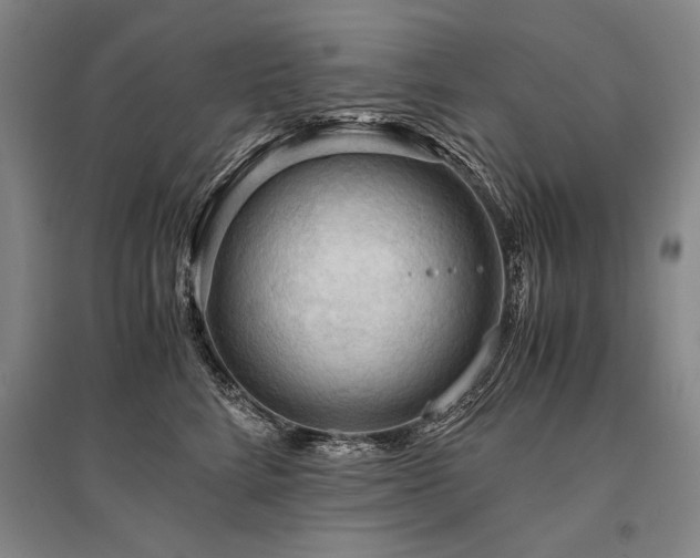 X0000095520712200712141446