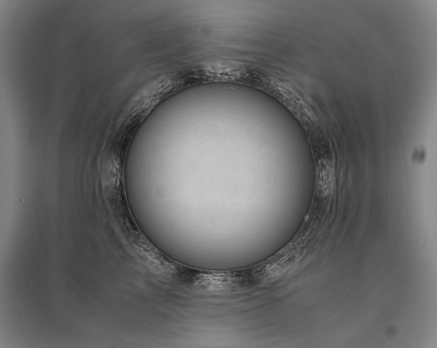 X0000095520713200712141446