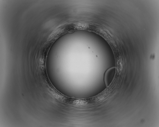X0000095520714200712141446