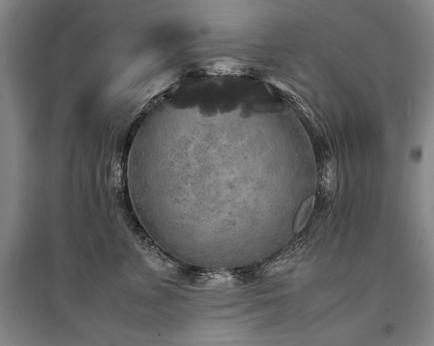 X0000095520715200712141446