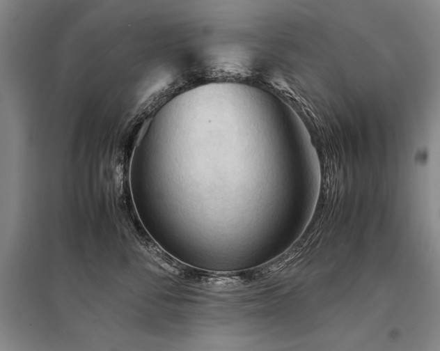 X0000095520716200712141446