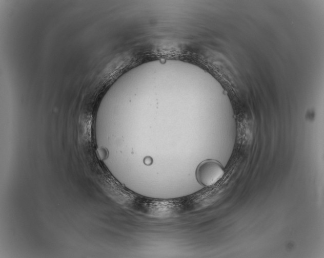X0000095520717200712141446