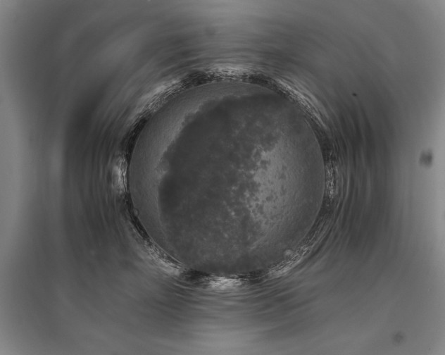 X0000095520718200712141446