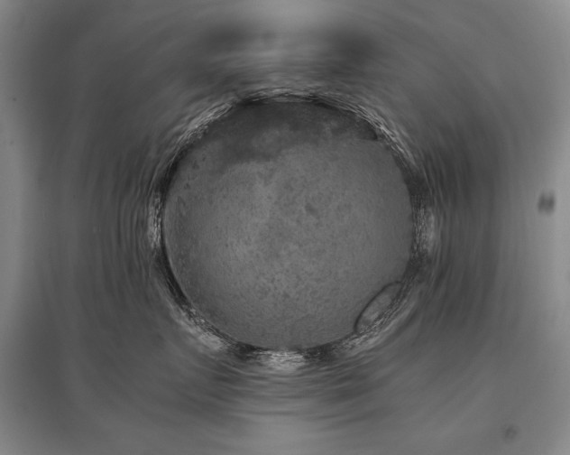 X0000095520719200712141446