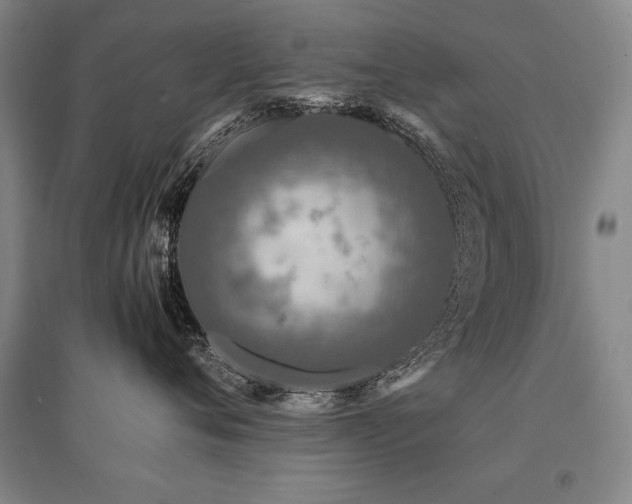 X0000095520720200712141446