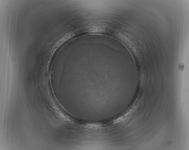 X0000095520721200712141445