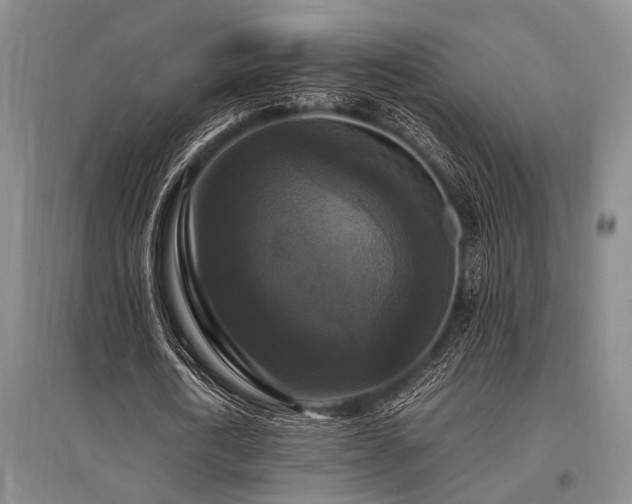 X0000095520722200712141445