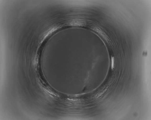 X0000095520723200712141445