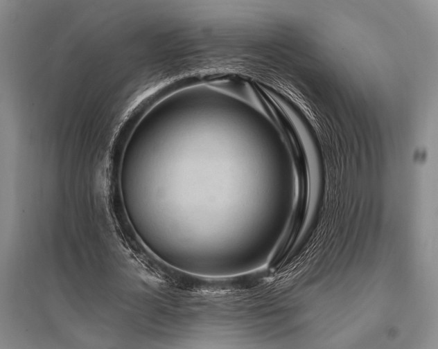 X0000095520724200712141445