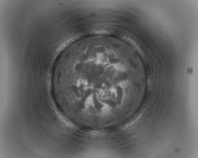 X0000095520725200712141445