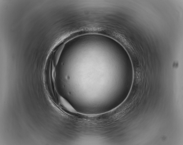 X0000095520726200712141445