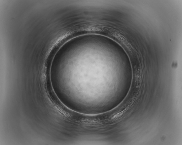 X0000095520727200712141445