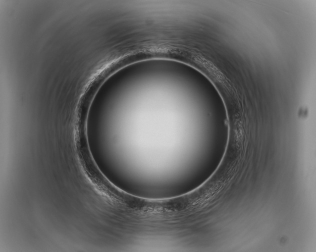 X0000095520728200712141445
