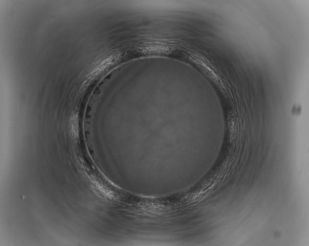 X0000095520729200712141445