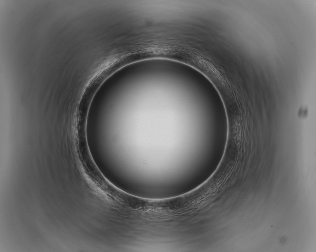 X0000095520730200712141445