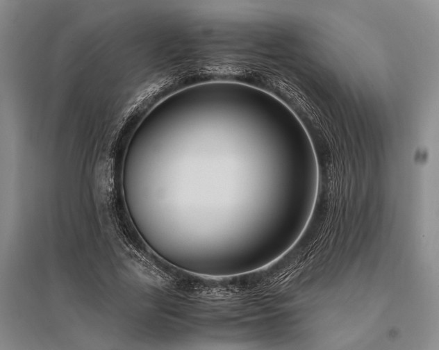 X0000095520731200712141445