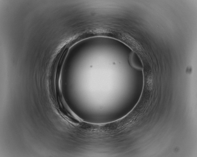 X0000095520732200712141445