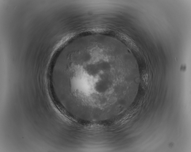 X0000095520734200712141445