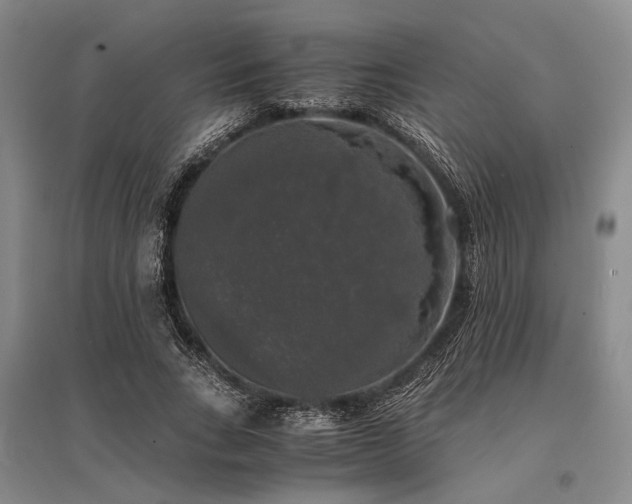 X0000095520735200712141445