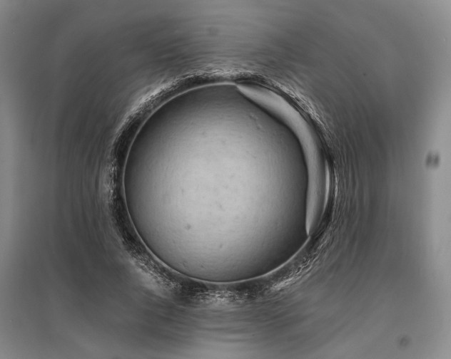 X0000095520736200712141445