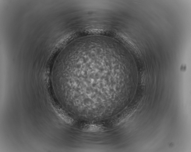 X0000095520737200712141445